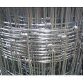 Sheep Wire / Cattle Mesh / Deer Fence